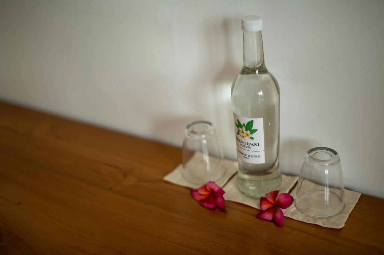 Frangipani House And Spa By Ecommerceloka Canggu Kültér fotó